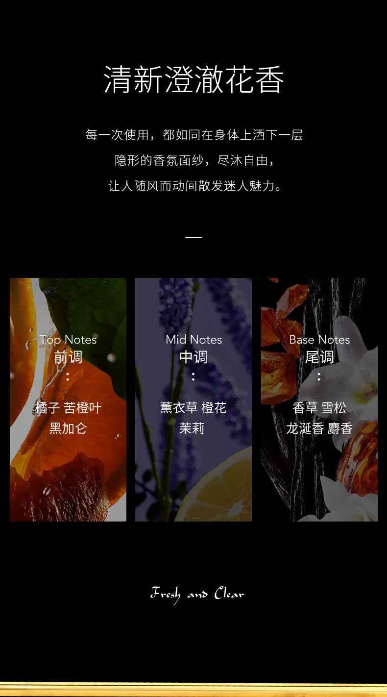 Ysl Fragrance